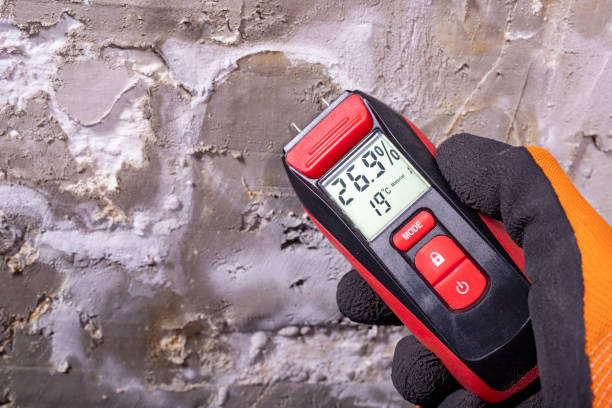 Best Mold Testing  in Lamar, TX