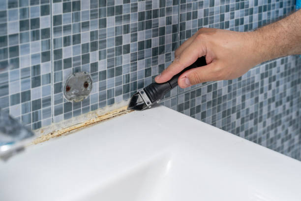 Best Best Mold Removal Companies  in Lamar, TX