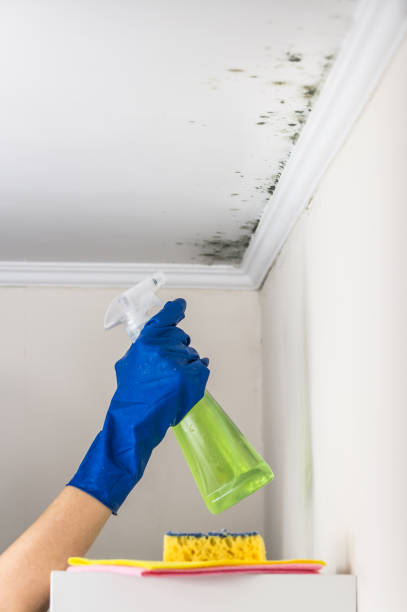 Water Damage Restoration in Lamar, TX